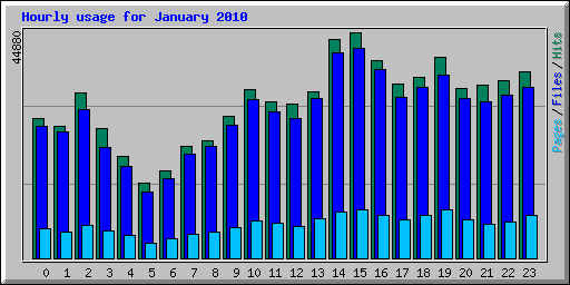 Hourly usage for January 2010