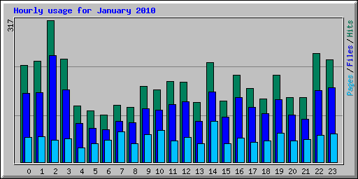 Hourly usage for January 2010