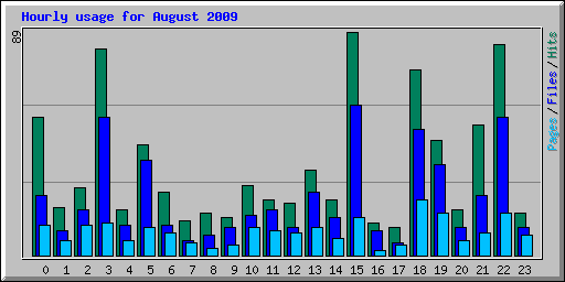 Hourly usage for August 2009