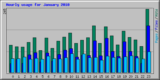 Hourly usage for January 2010