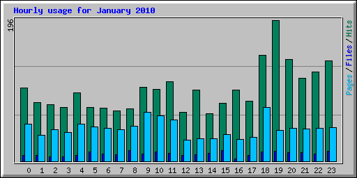 Hourly usage for January 2010