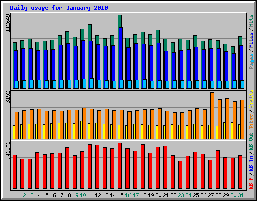 Daily usage for January 2010