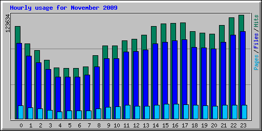 Hourly usage for November 2009