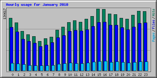 Hourly usage for January 2010