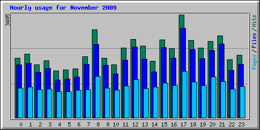 Hourly usage for November 2009