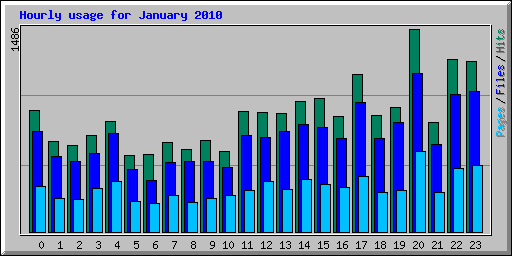 Hourly usage for January 2010