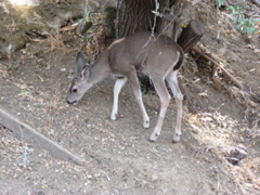 IMG_0534.JPG