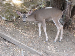 IMG_0536.JPG