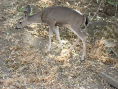 IMG_0537.JPG