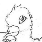 Bird 3